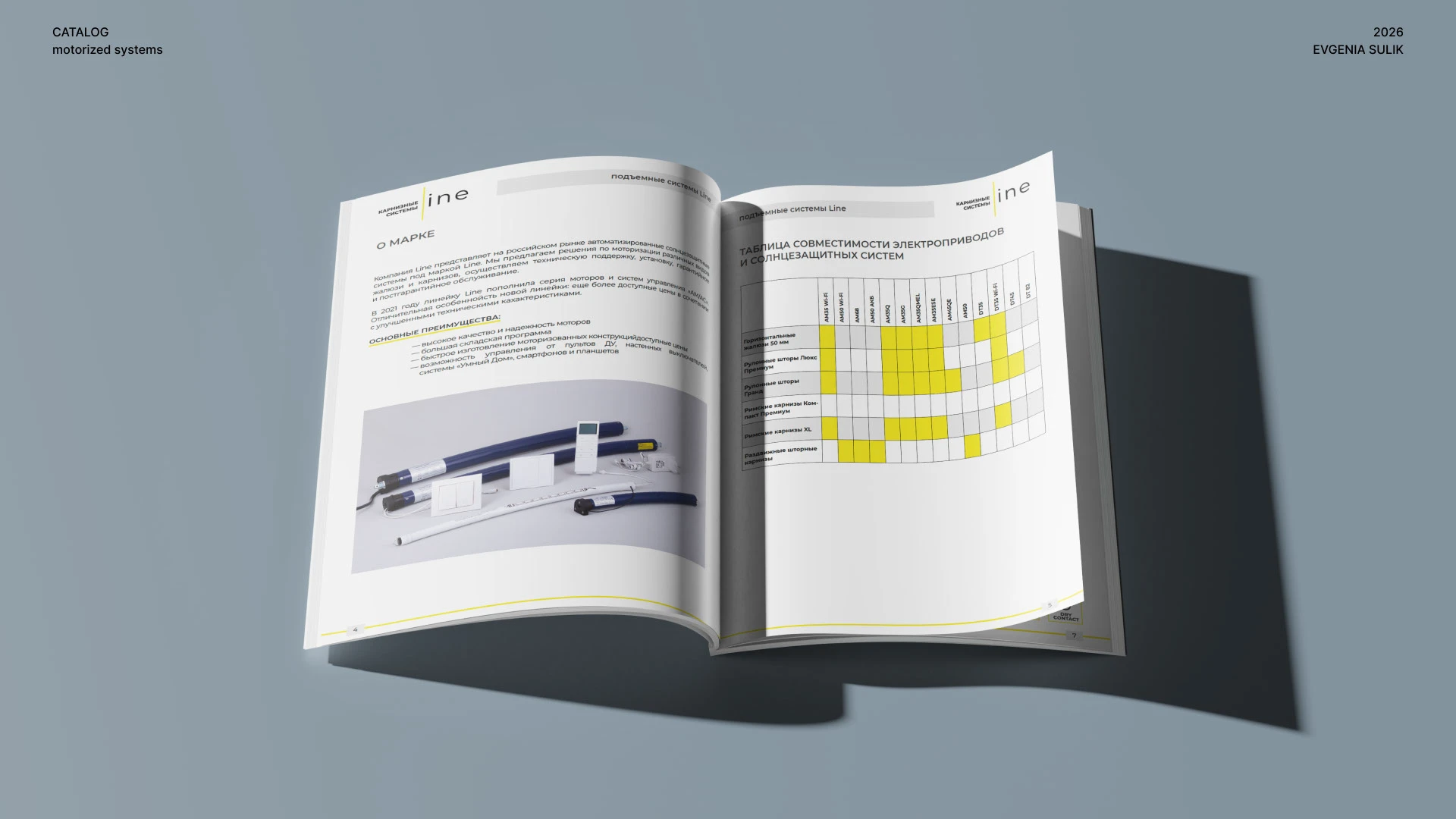Верстка каталога — Изображение №8 — Брендинг, Графика на Dprofile