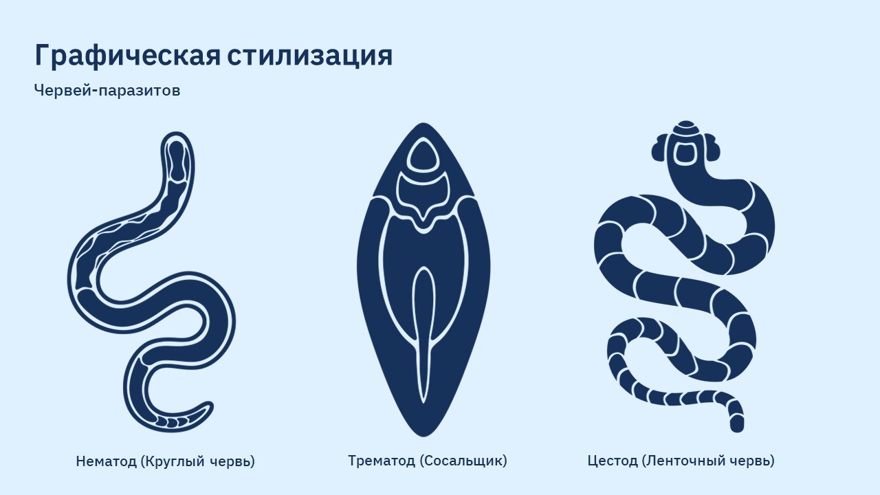 Инструкционные видеоролики для ветеринарных клиник — Изображение №6 — Графика, Анимация на Dprofile