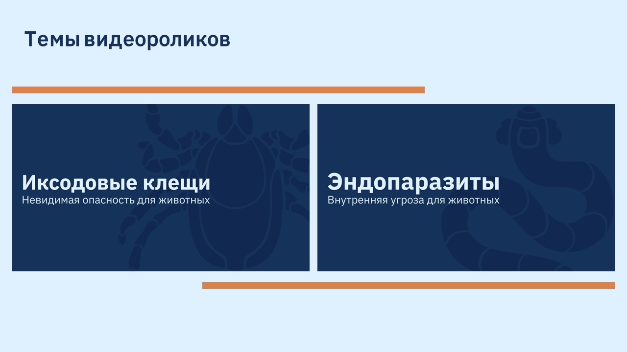 Инструкционные видеоролики для ветеринарных клиник — Изображение №3 — Графика, Анимация на Dprofile