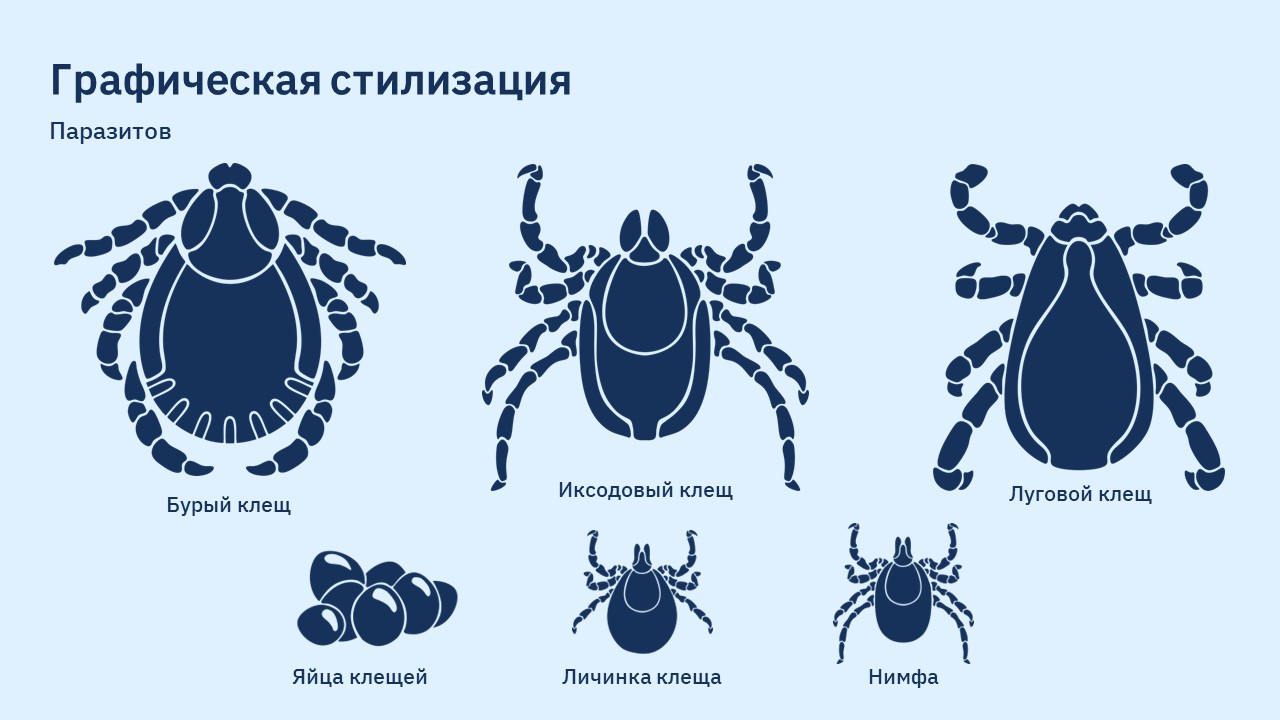 Инструкционные видеоролики для ветеринарных клиник — Изображение №5 — Графика, Анимация на Dprofile