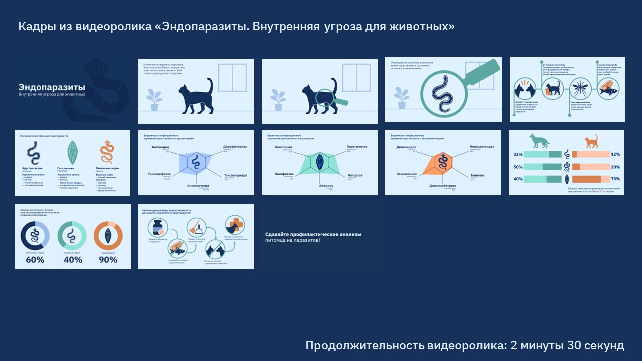Инструкционные видеоролики для ветеринарных клиник — Изображение №12 — Графика, Анимация на Dprofile
