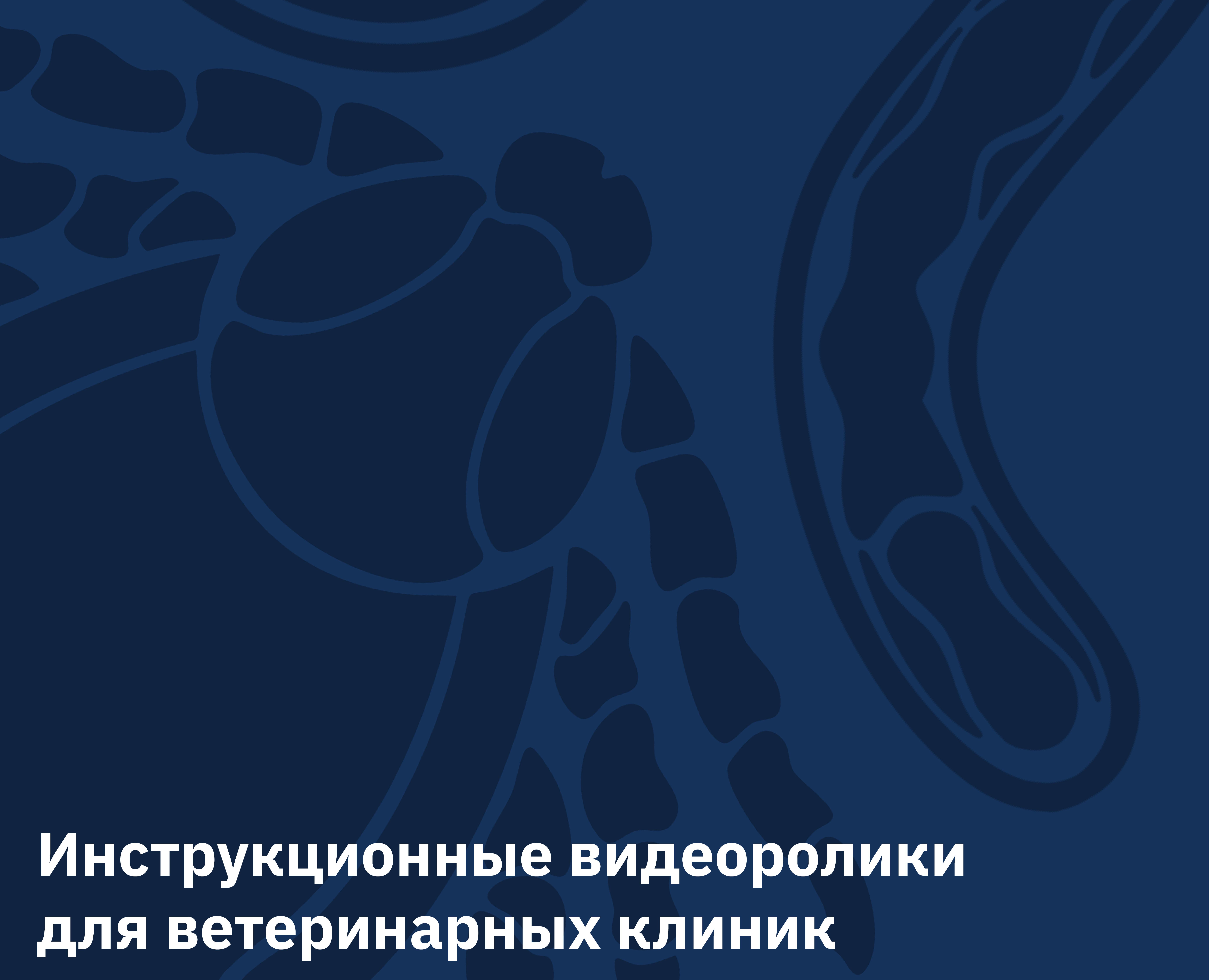 Инструкционные видеоролики для ветеринарных клиник на Dprofile