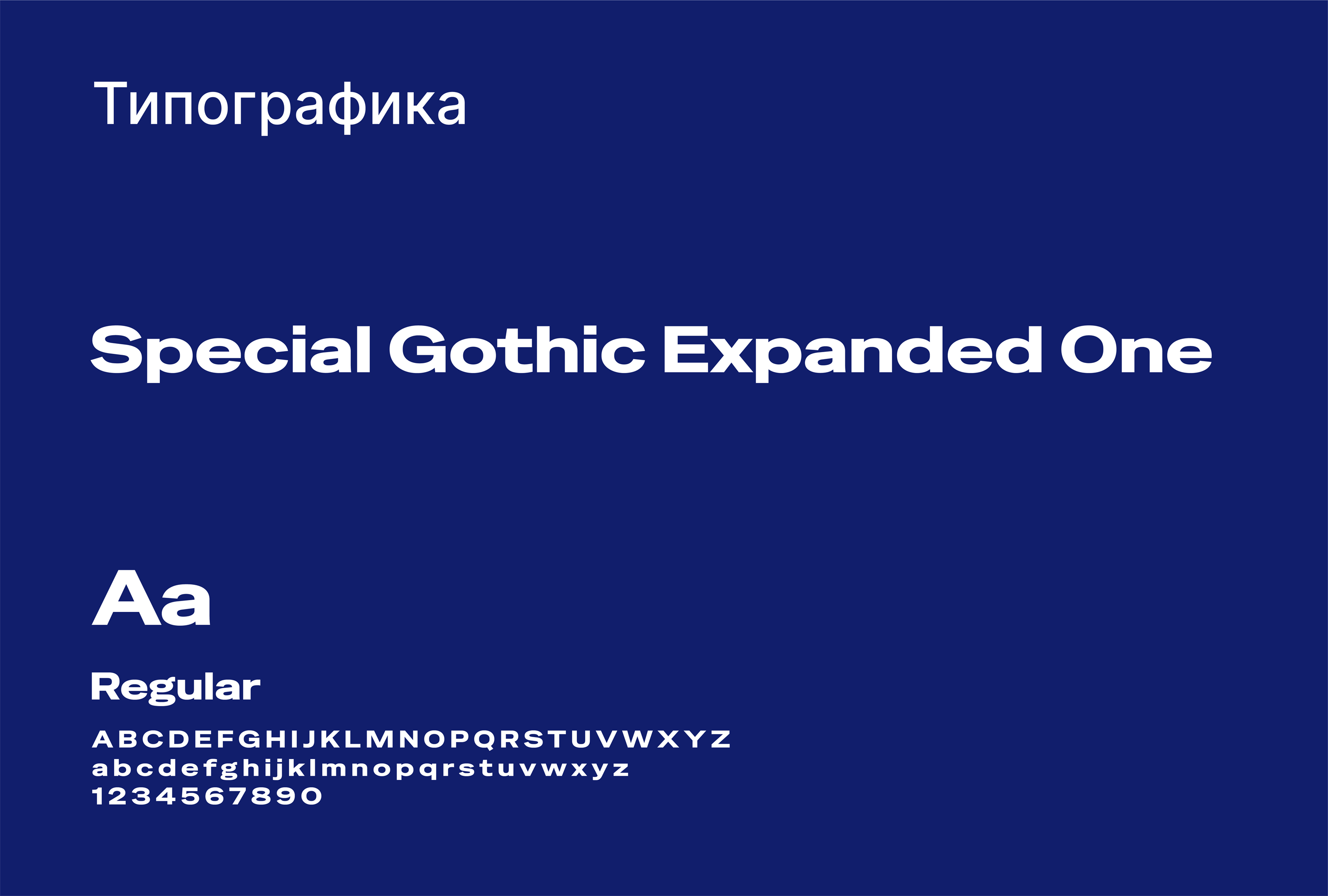 Фирменный стиль / Айдентика / Информационный портал — Изображение №3 — Брендинг на Dprofile
