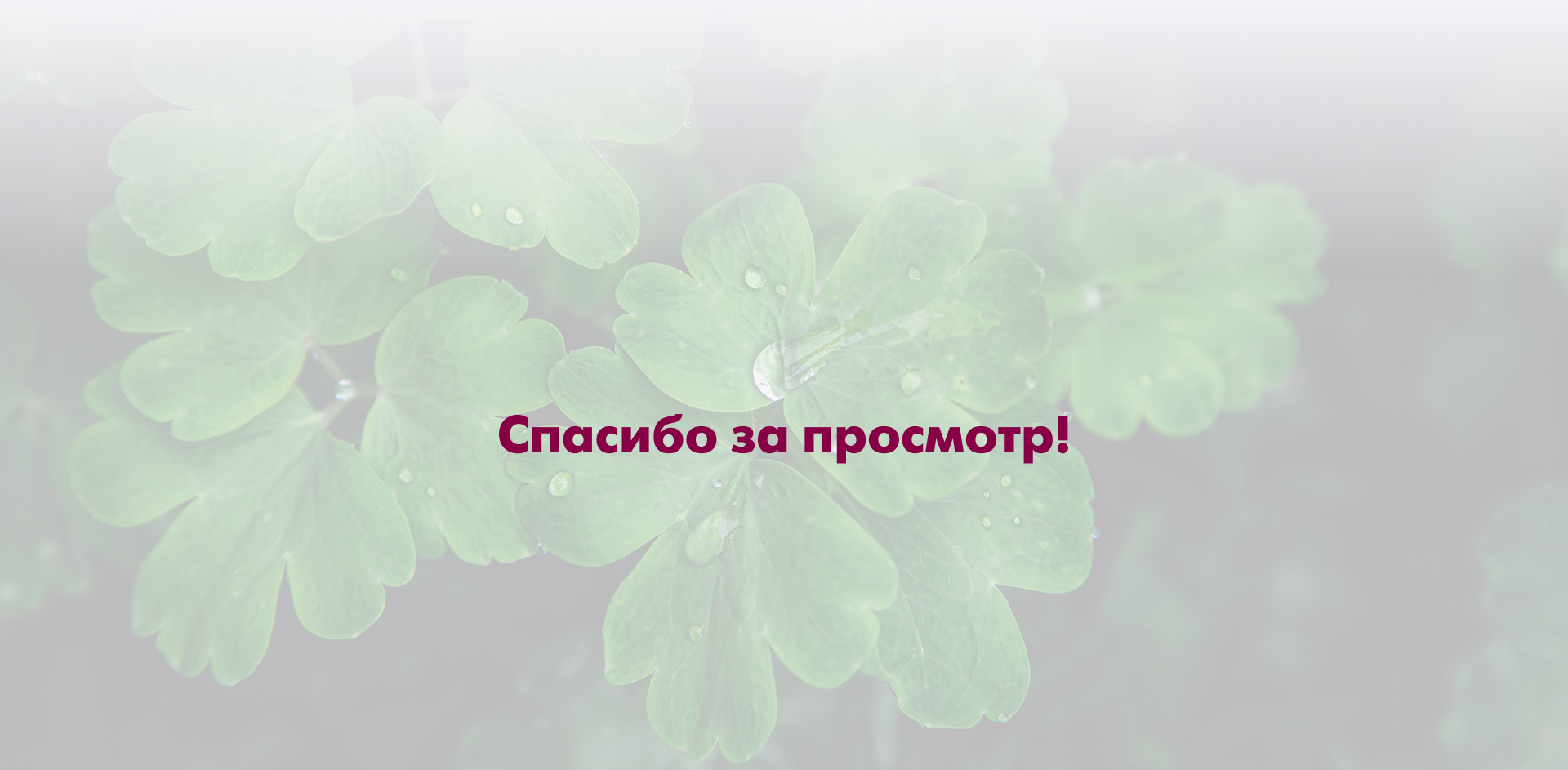 GEOMED | Веб-сайт интернет-аптеки — Изображение №16 — Интерфейсы на Dprofile