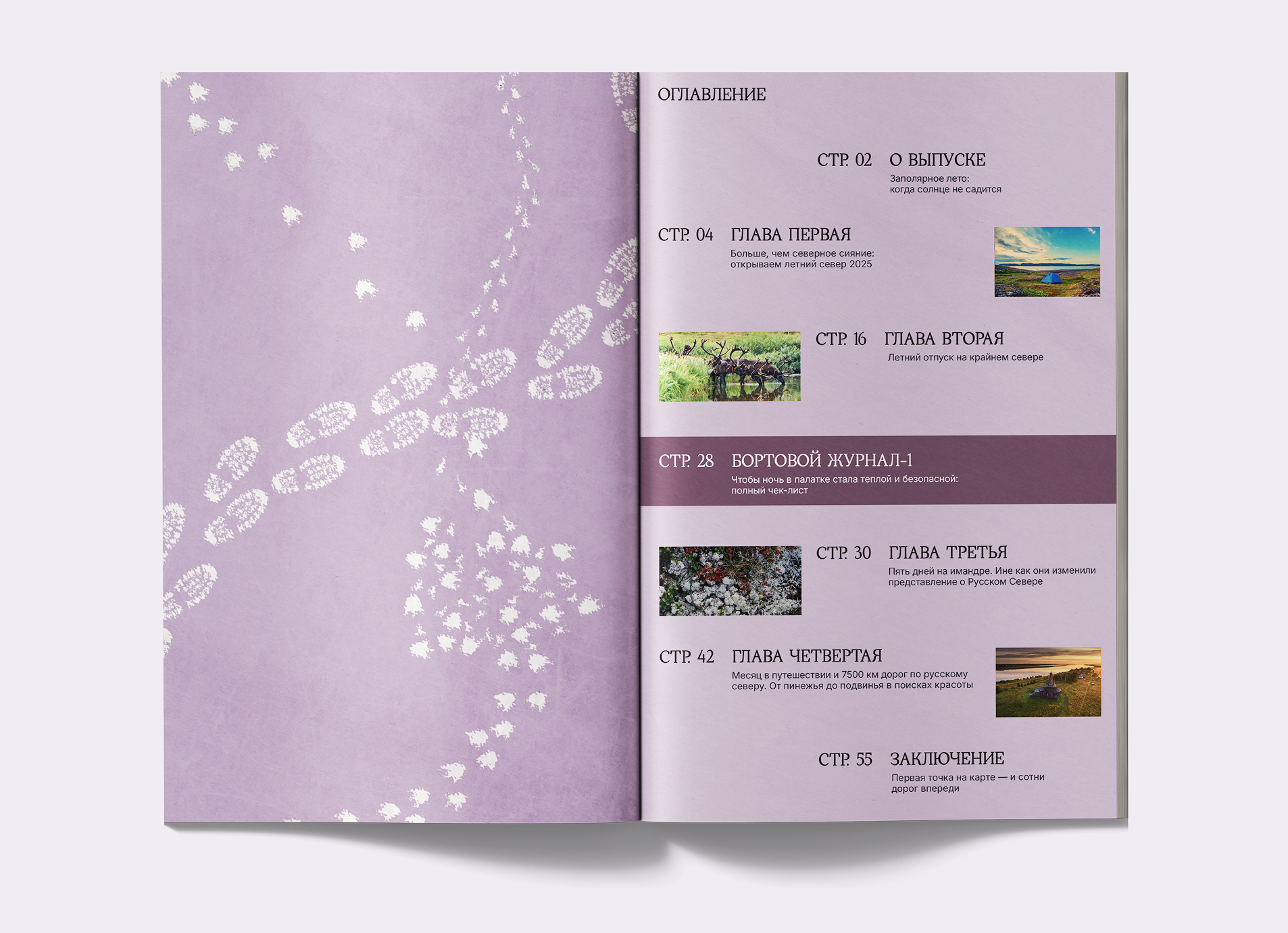 Журнал «Полярник» — Изображение №4 — Графика на Dprofile