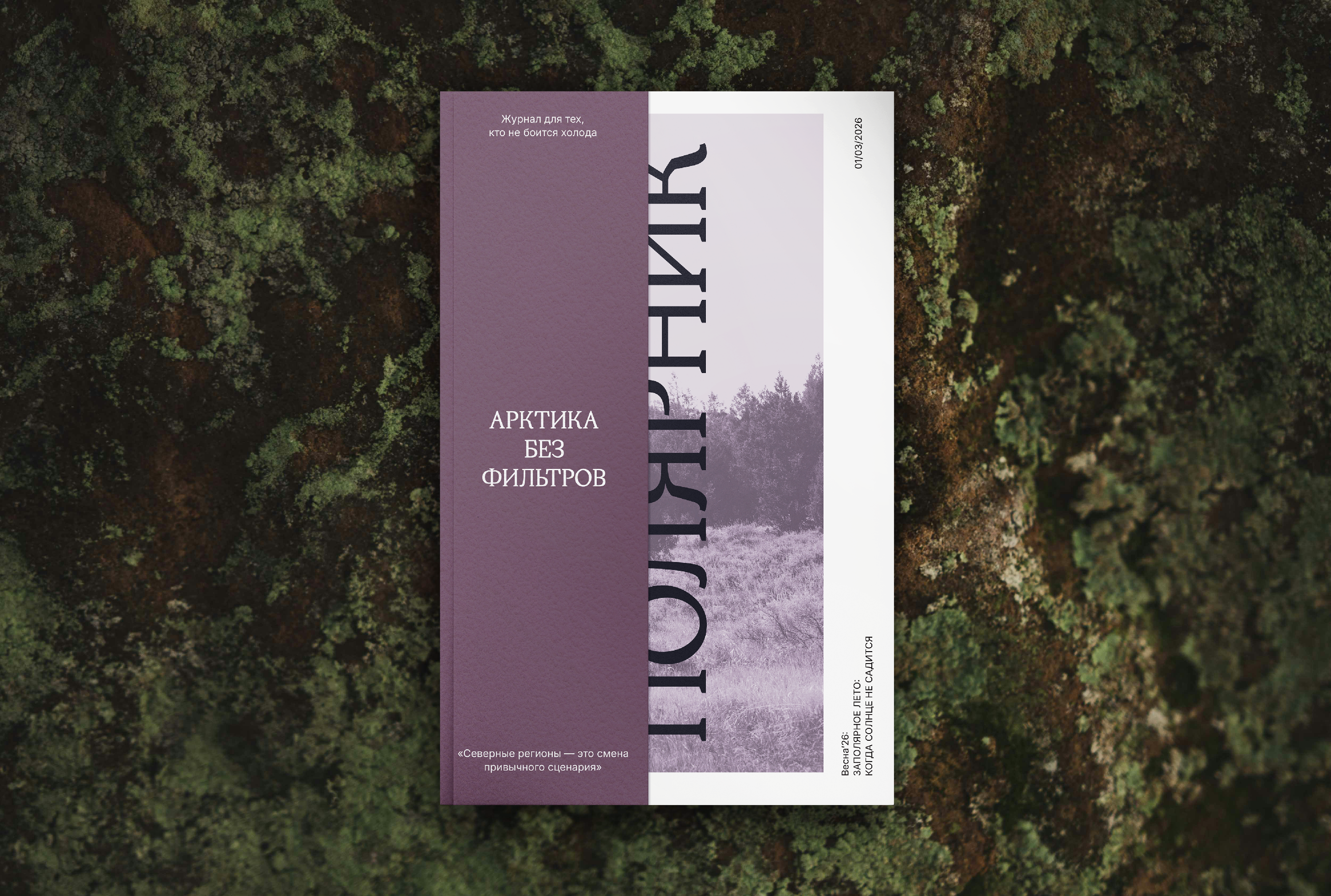 Журнал «Полярник» — Изображение №17 — Графика на Dprofile