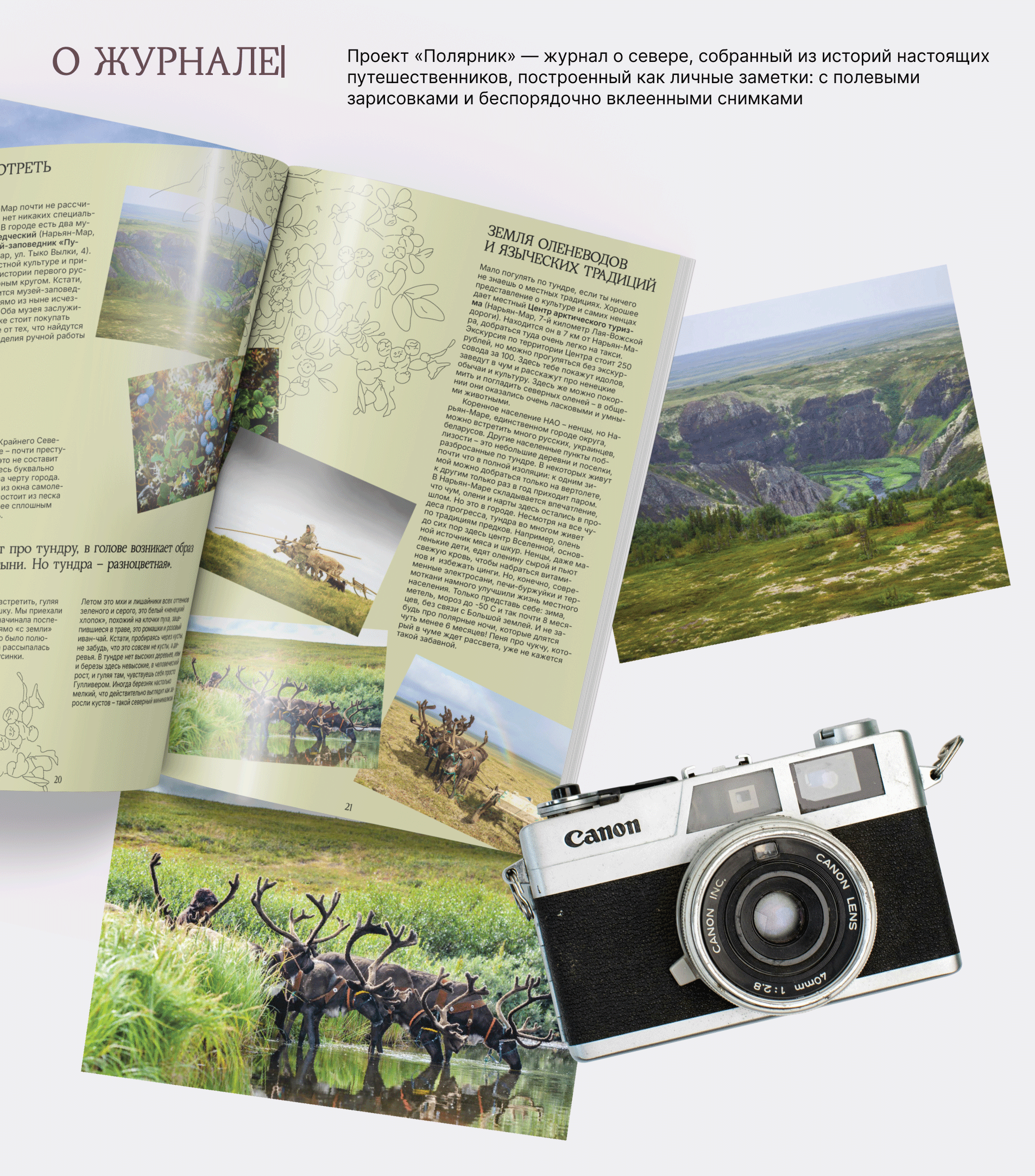Журнал «Полярник» — Изображение №3 — Графика на Dprofile