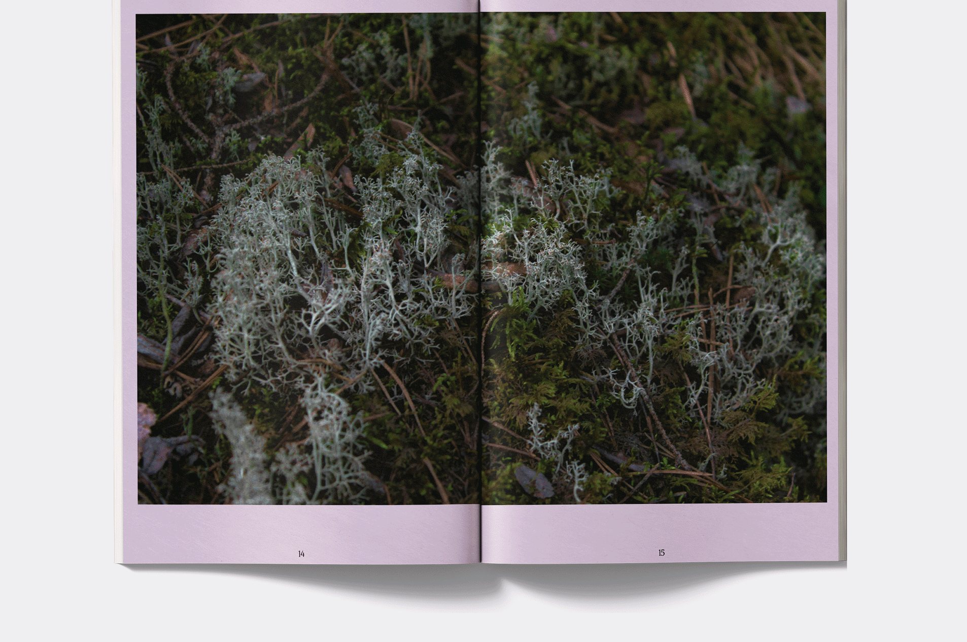 Журнал «Полярник» — Изображение №11 — Графика на Dprofile