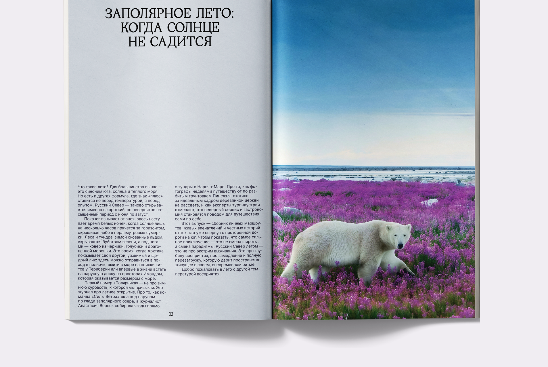 Журнал «Полярник» — Изображение №5 — Графика на Dprofile