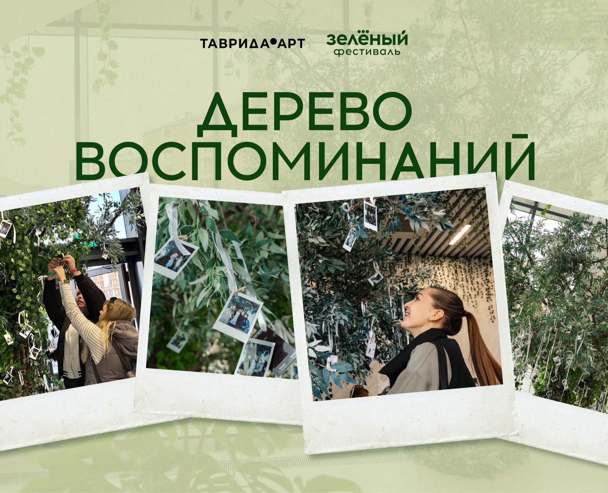 Дерево воспоминаний // Таврида.АРТ на Dprofile