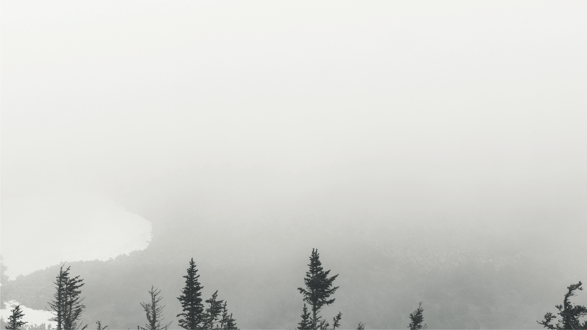 Разработка логотипа для ритуального бюро "Сансара" — Изображение №5 — Брендинг, Графика на Dprofile