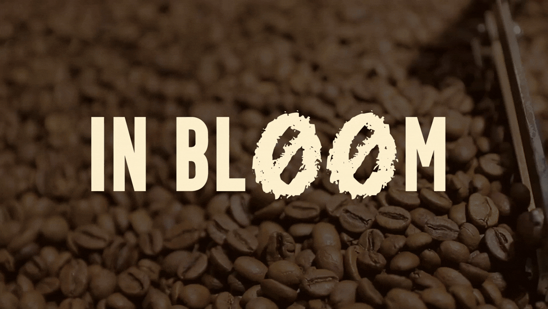 Кофейные напитки «IN BLOOM» — Изображение №1 — Интерфейсы на Dprofile