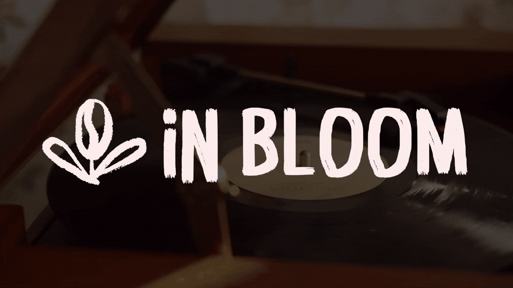 Кофейные напитки «IN BLOOM» — Изображение №1 — Интерфейсы на Dprofile