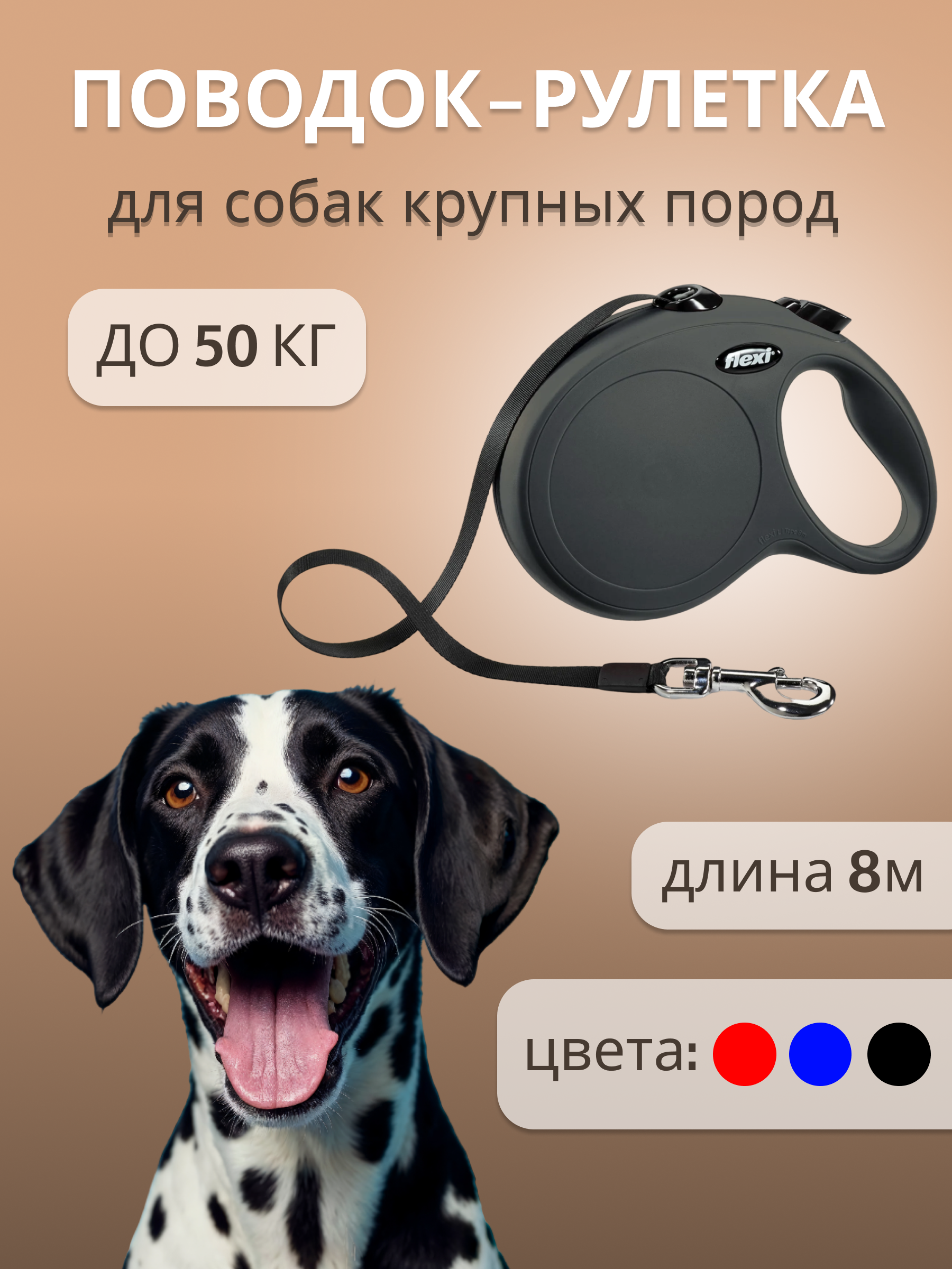 Инфографика для поводка — Изображение №1 — Графика на Dprofile