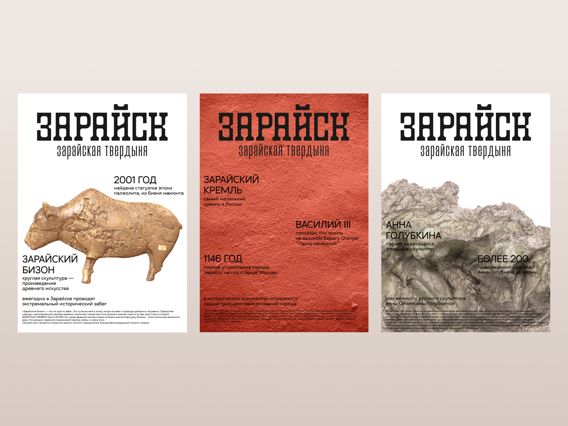 Зарайская твердыня — Изображение №3 — Брендинг на Dprofile