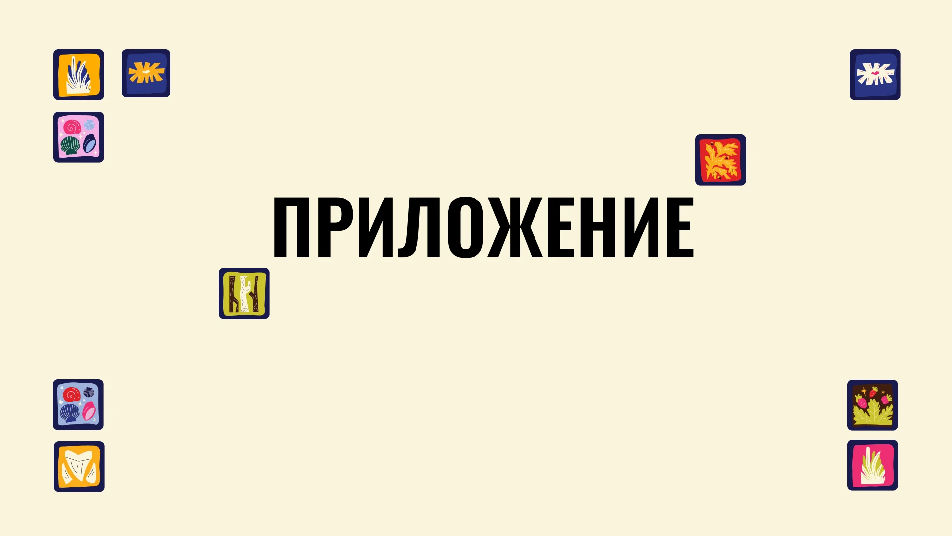Государственный Дарвиновский музей | Дизайн-цех — Изображение №20 — Брендинг, Нейро на Dprofile