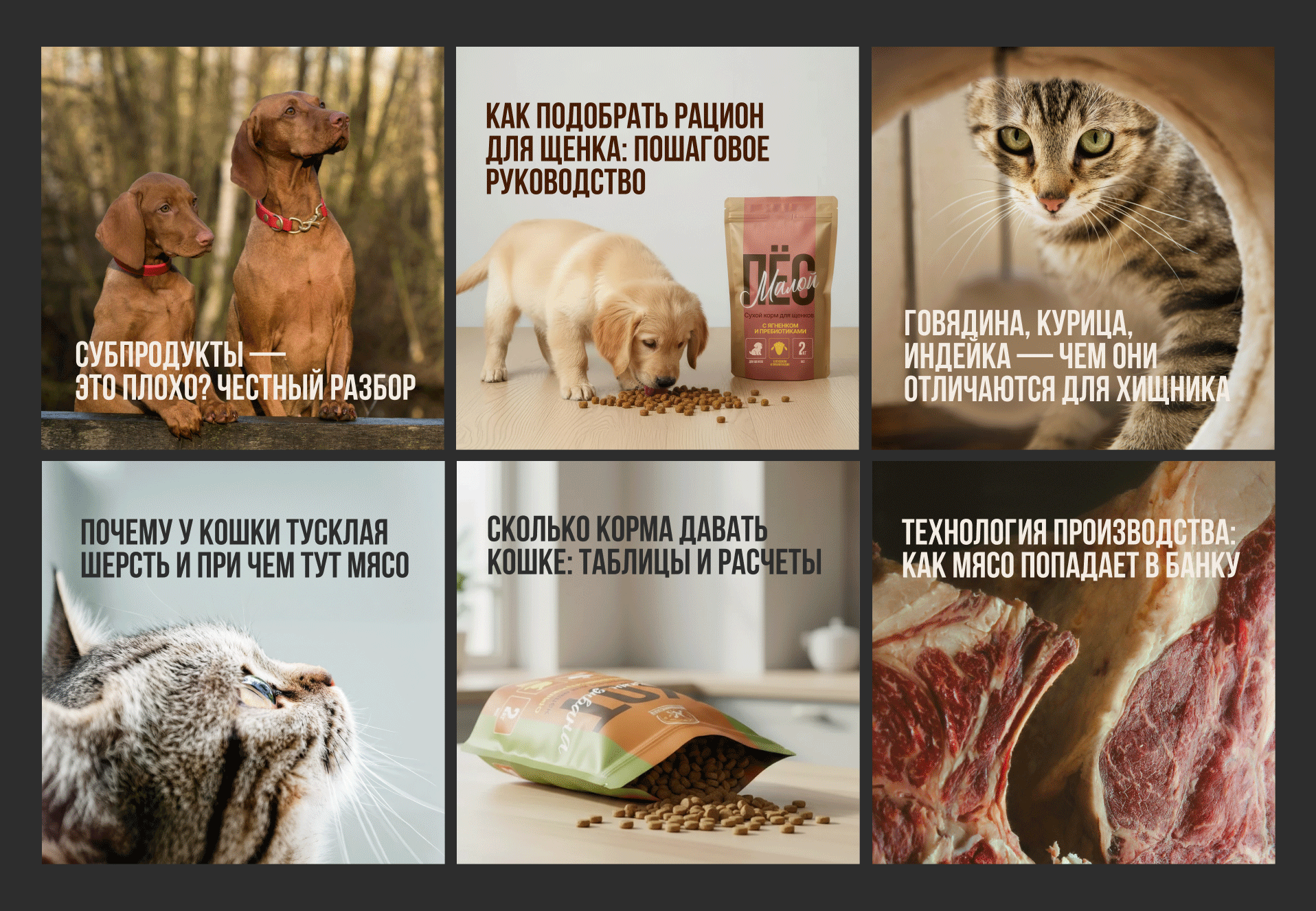 МЯСОФФСКИЙ: нейминг, фирменный стиль, упаковка — Изображение №12 — Брендинг на Dprofile