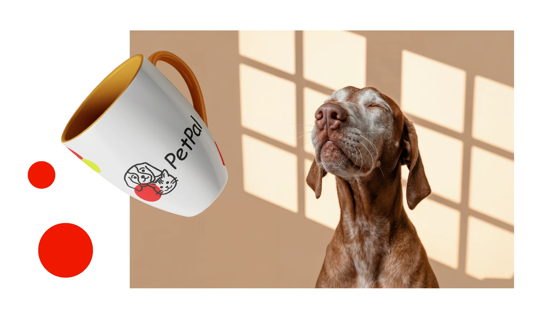 Айдентика для аксессуаров для животных — Изображение №7 — Брендинг на Dprofile