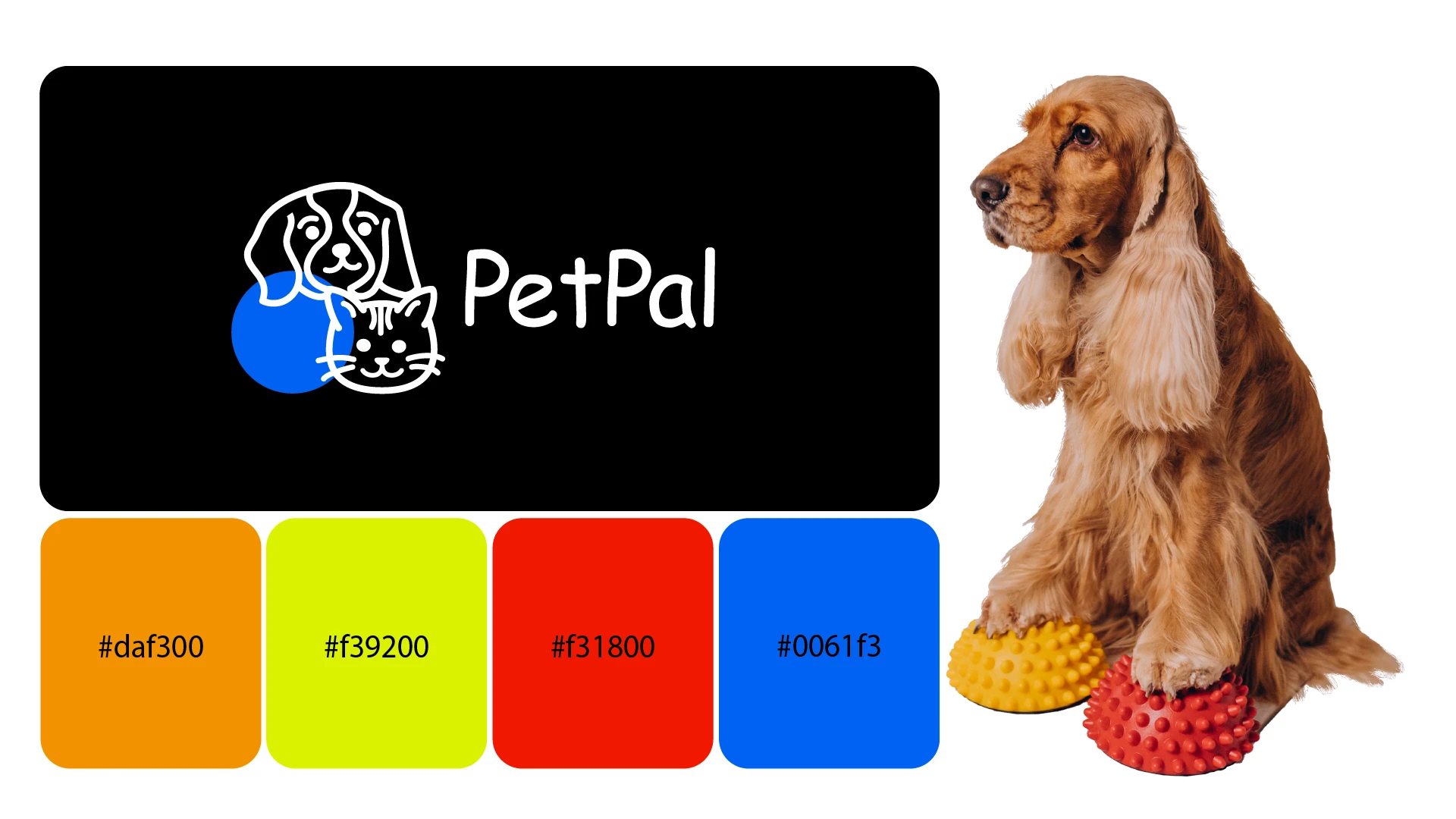 Айдентика для аксессуаров для животных — Изображение №6 — Брендинг на Dprofile