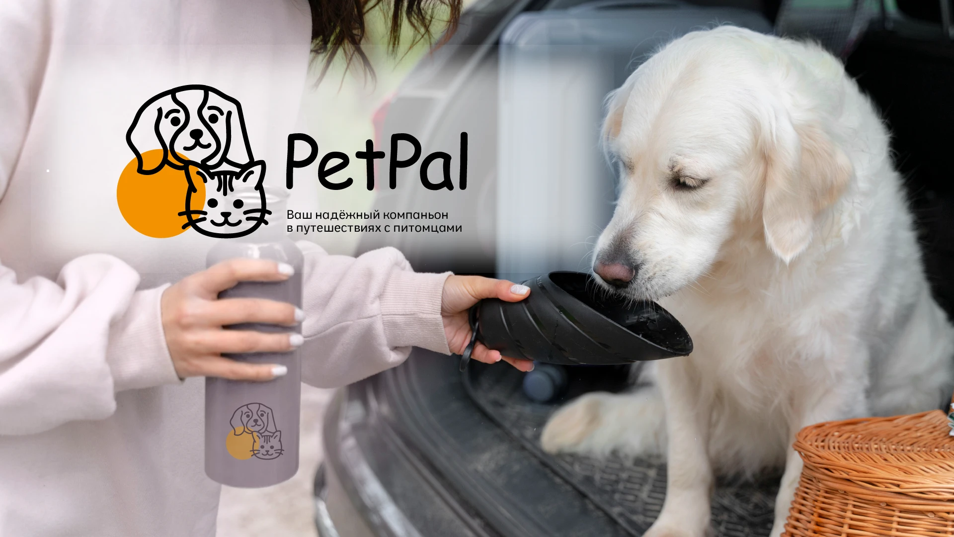 Айдентика для аксессуаров для животных — Изображение №1 — Брендинг на Dprofile