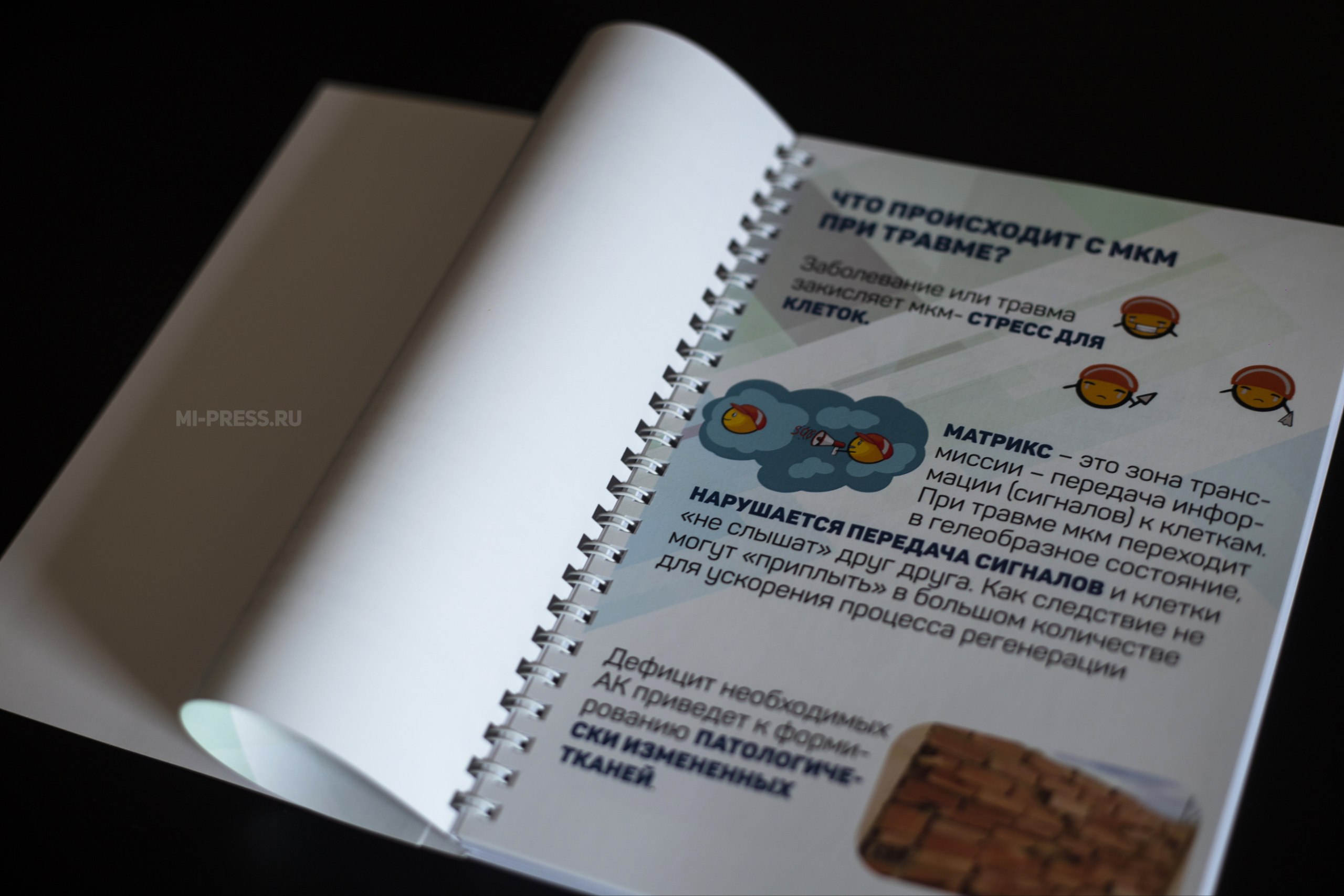 Блокнот в фирменном стиле "СФЕРОгель" — Изображение №2 — Брендинг, Графика на Dprofile