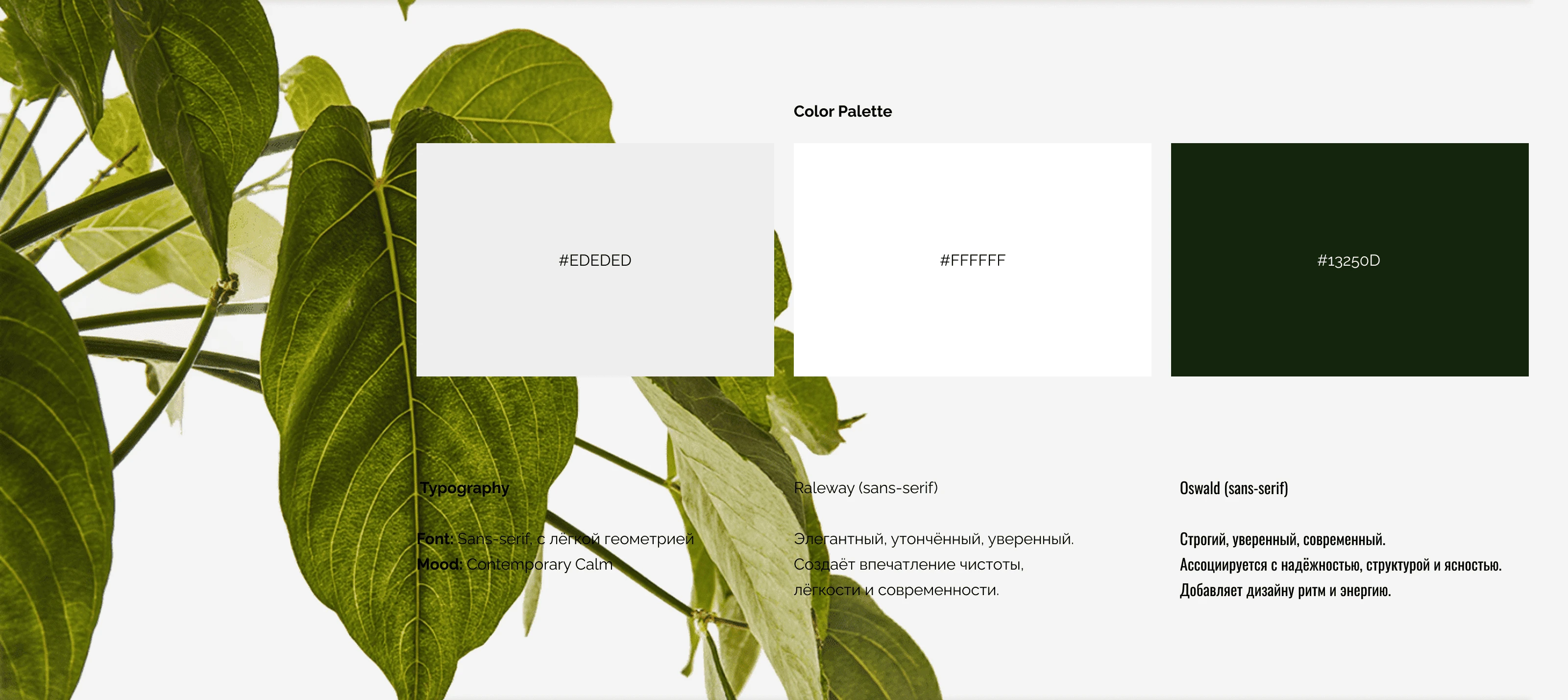 BloomSpace - студия интерьерной флористики — Изображение №4 — Интерфейсы на Dprofile