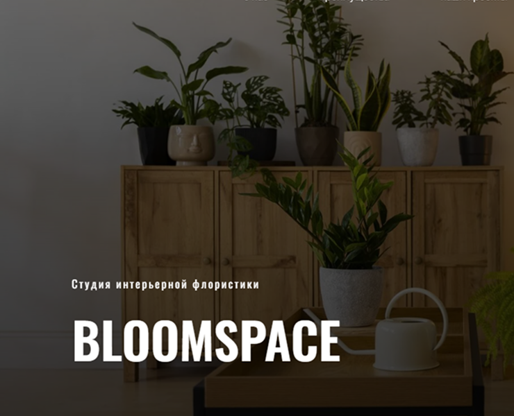 BloomSpace - студия интерьерной флористики на Dprofile