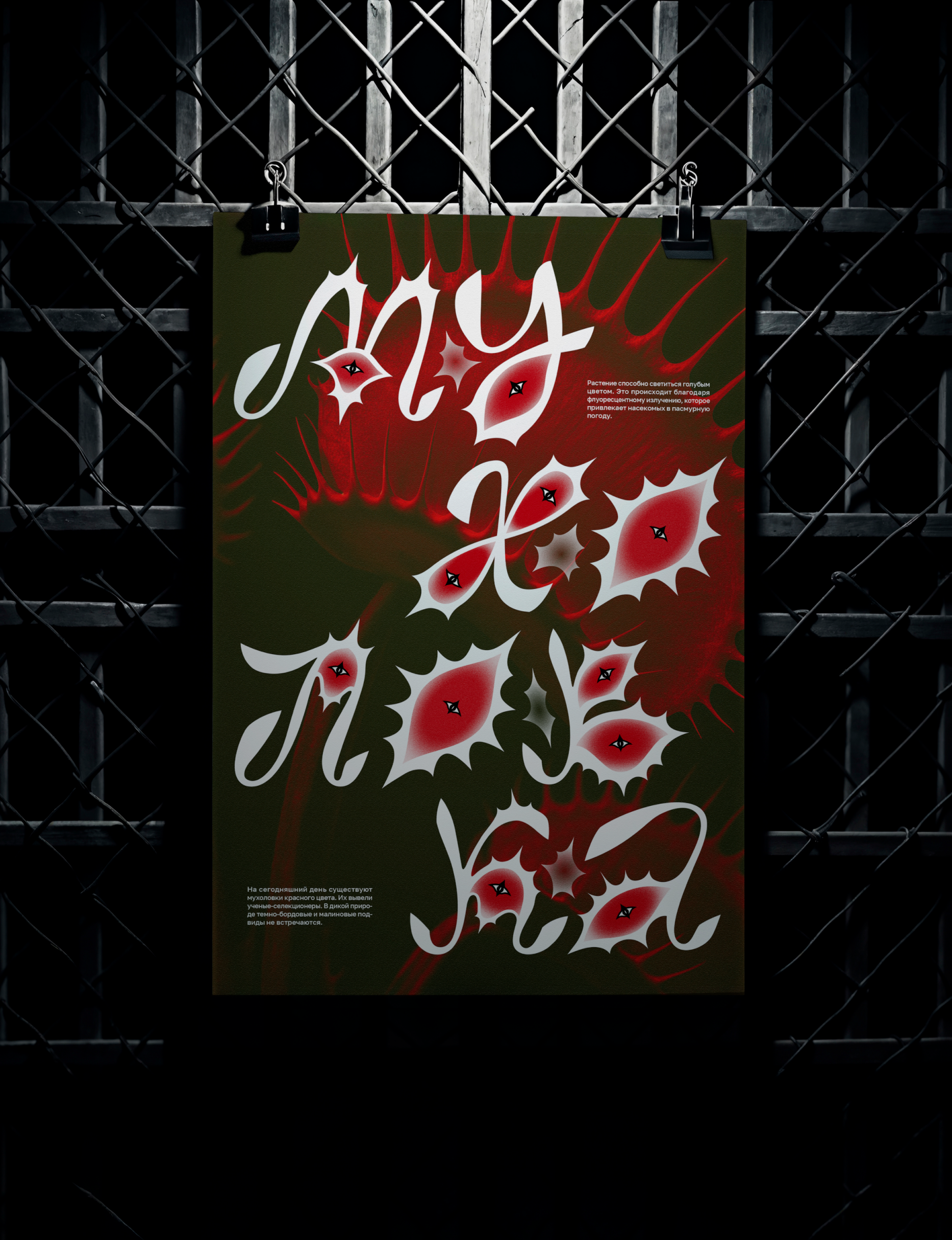 Буквальный челлендж — шрифт Мухоловка — Изображение №7 — Графика на Dprofile