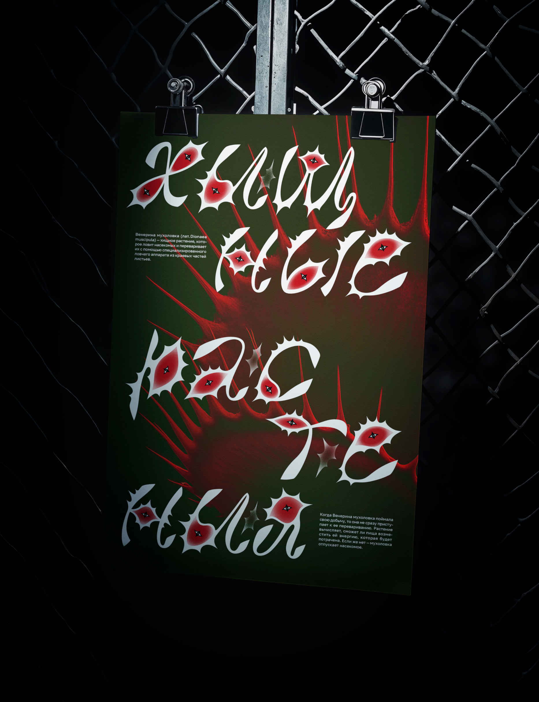 Буквальный челлендж — шрифт Мухоловка — Изображение №6 — Графика на Dprofile