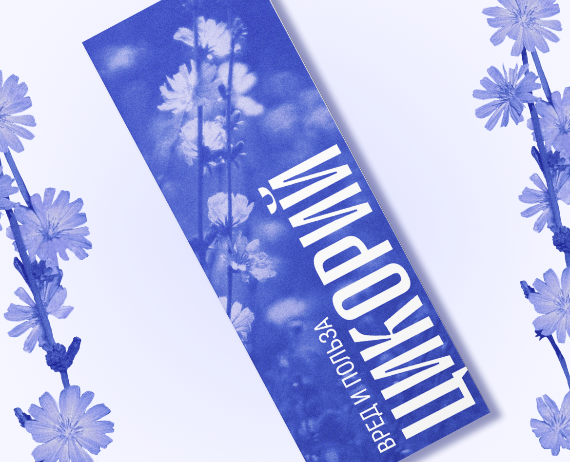 Brochure graphic design — Брендинг, Графика на Dprofile