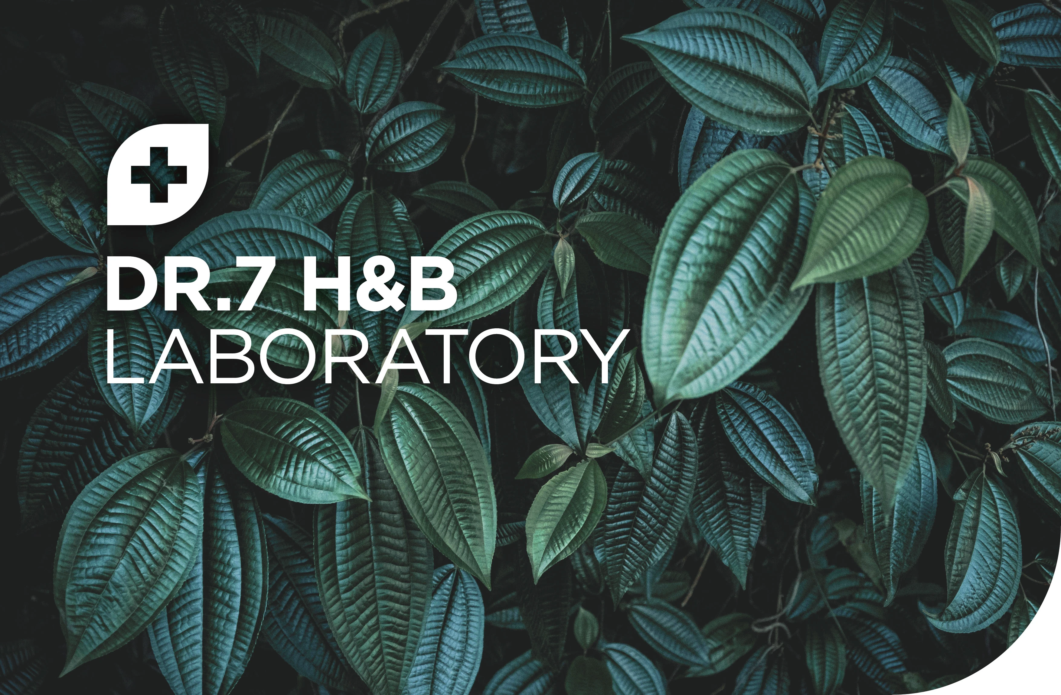 Dr.7 H&B Labaratory - лого и дизайн этикеток — Изображение №1 — Брендинг на Dprofile