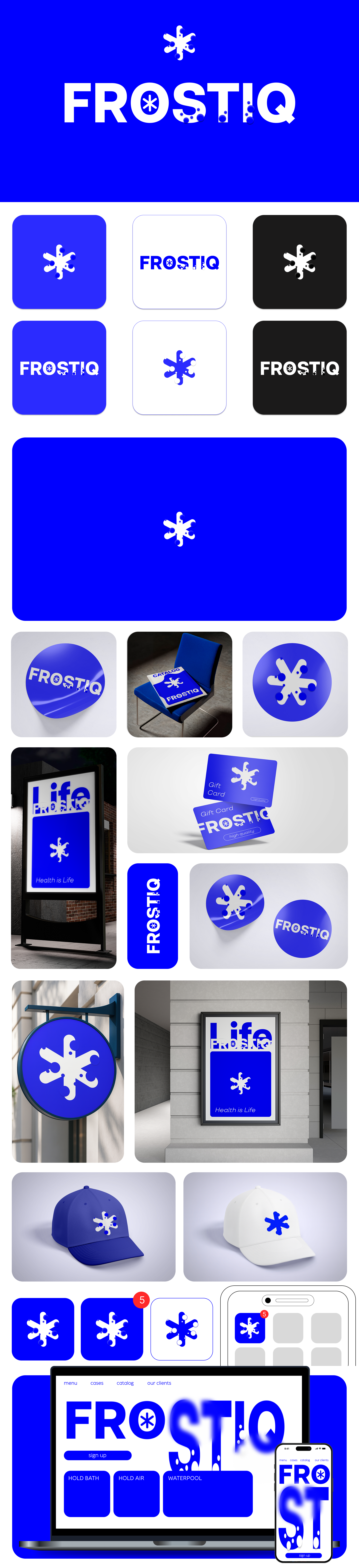Branding "FROSTIQ" — Изображение №1 — Брендинг на Dprofile
