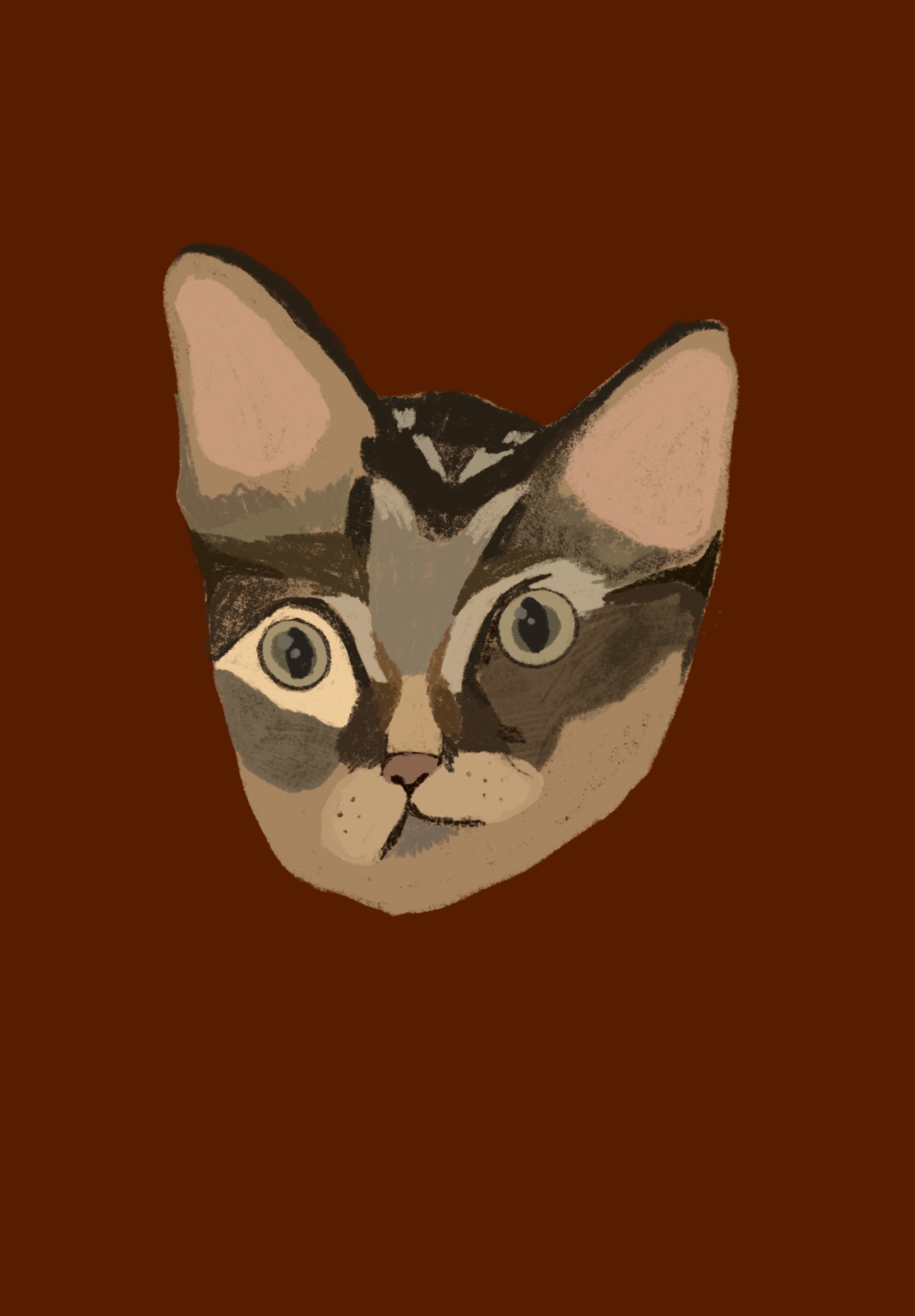 Иллюстрация "Кот" — Изображение №1 — Иллюстрация на Dprofile