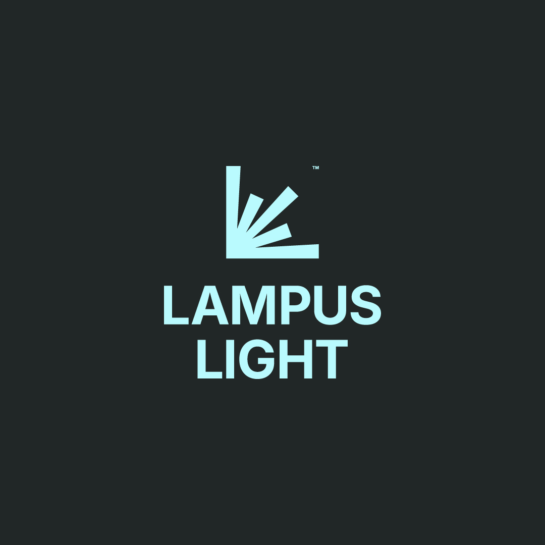 Логотип для магазина света — Изображение №3 — Брендинг на Dprofile