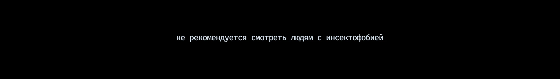 mistery — smells like fear — Изображение №1 — Брендинг, Нейро на Dprofile