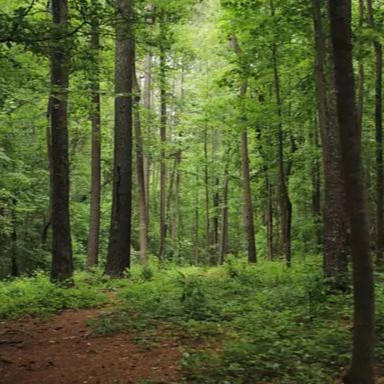 Аватар пользователя Seva Osipov