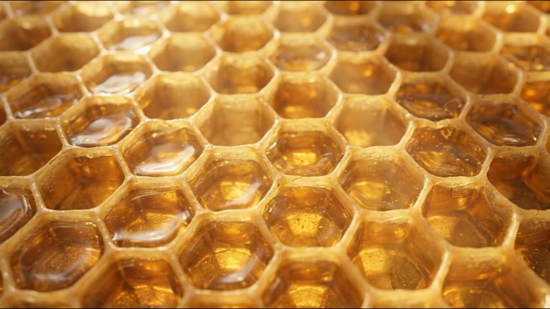 GUERLAIN | ABEILLE ROYALE — Изображение №2 — 3D, Анимация на Dprofile