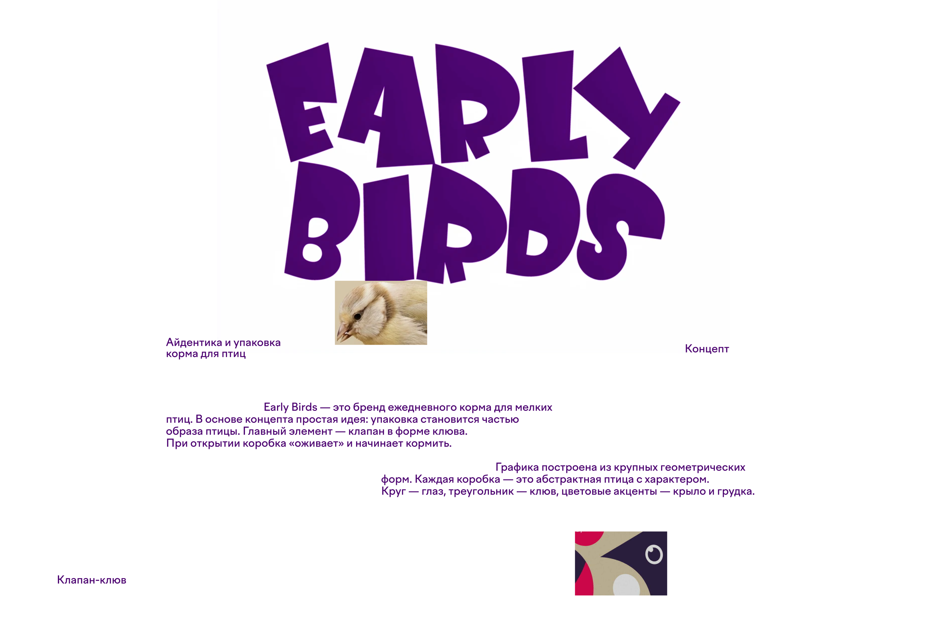 Айдентика и упаковка Early Birds — Изображение №1 — Брендинг на Dprofile