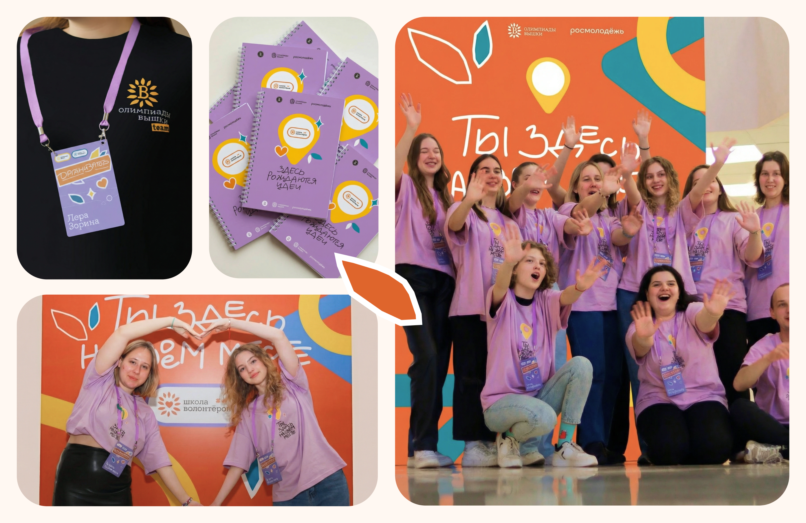 Брендинг Школы Волонтёров НИУ ВШЭ — Изображение №3 — Брендинг на Dprofile