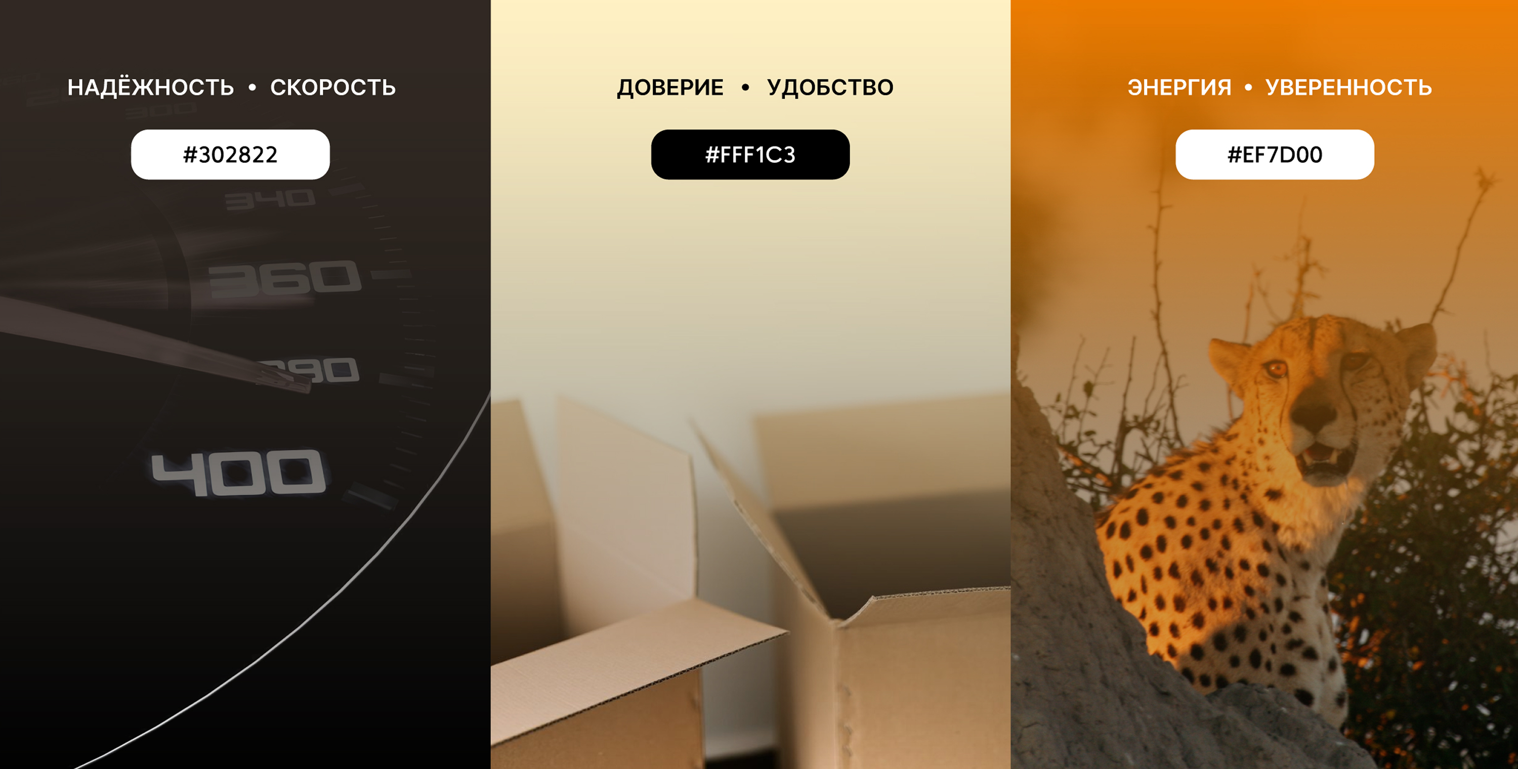 Fast Paw delivery - айдентика для сервиса доставки — Изображение №4 — Брендинг на Dprofile