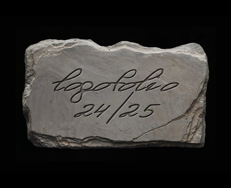 Логофолио 24/25 — Брендинг на Dprofile