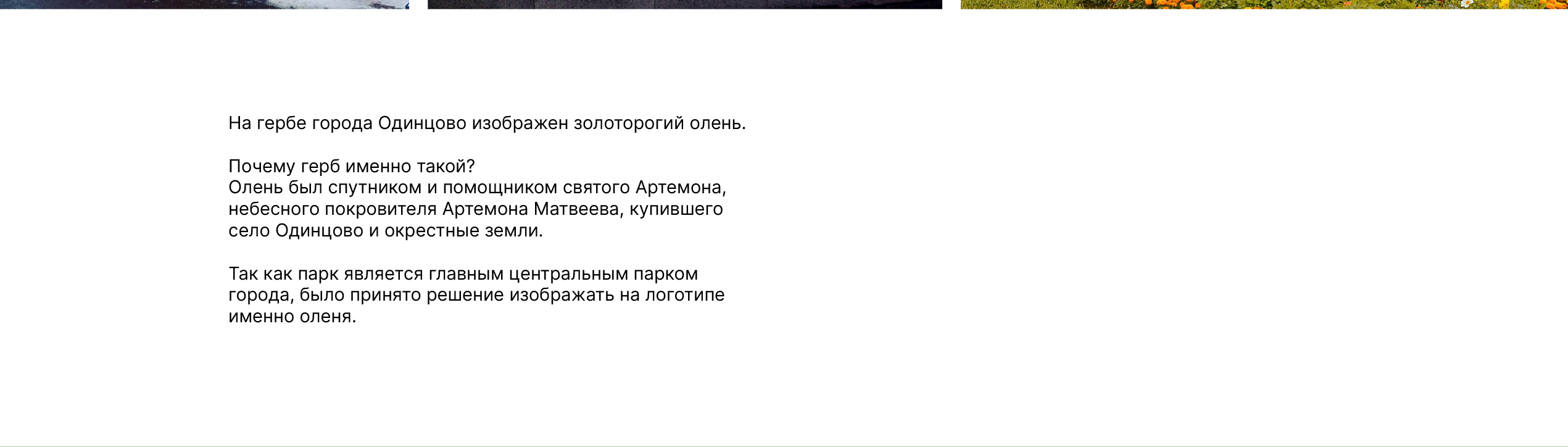 Айдентика и навигация для Одинцовского парка — Изображение №3 — Брендинг на Dprofile