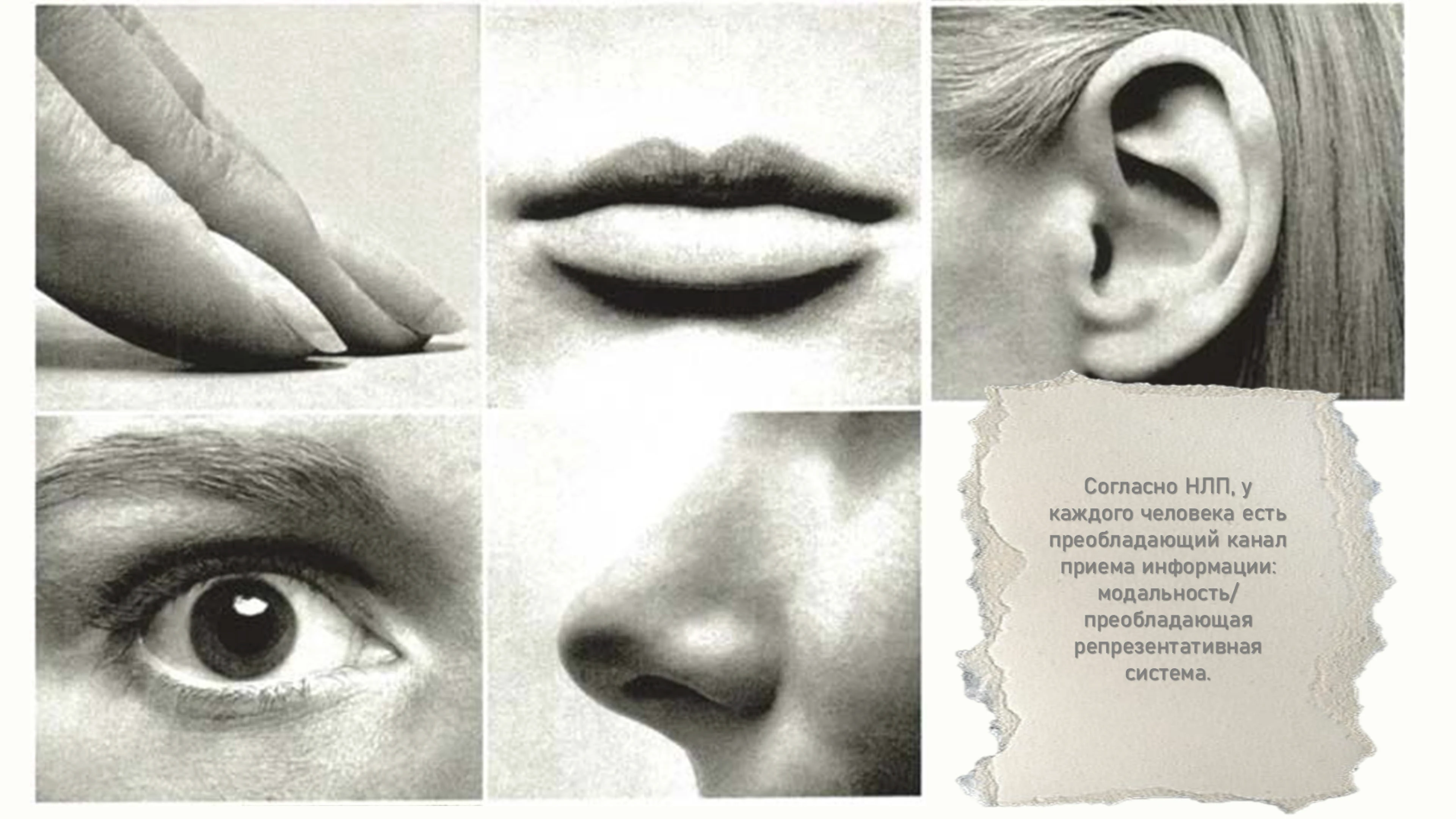 дизайн презентации про НЛП — Изображение №6 — Графика, Маркетинг на Dprofile