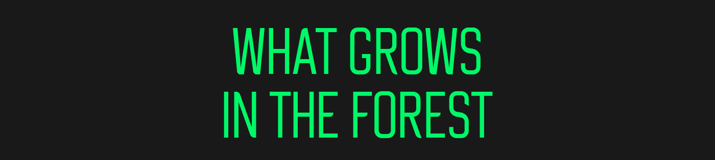 Что растет в лесу | Ивлев групп — Изображение №2 — Брендинг, Иллюстрация на Dprofile