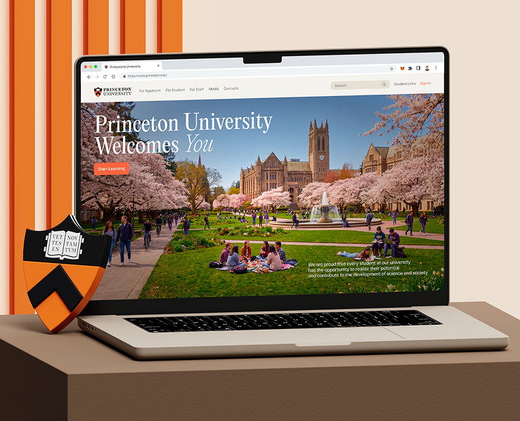 Princeton University | Website | Design Concept — Интерфейсы, Нейро на Dprofile