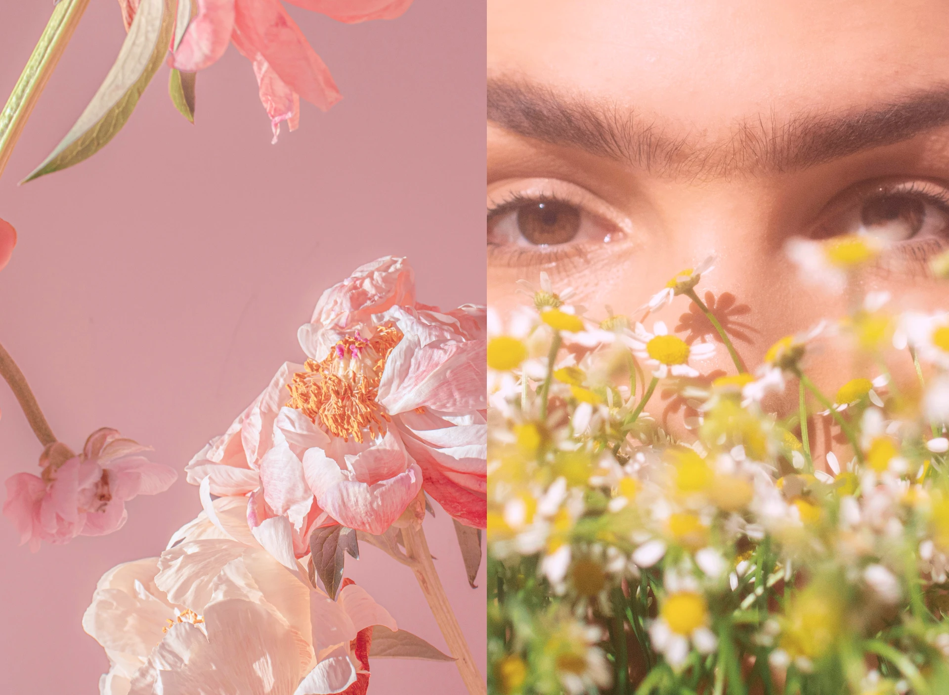 Bloom Essence | Шрифтовой логотип — Изображение №9 — Брендинг, Графика на Dprofile