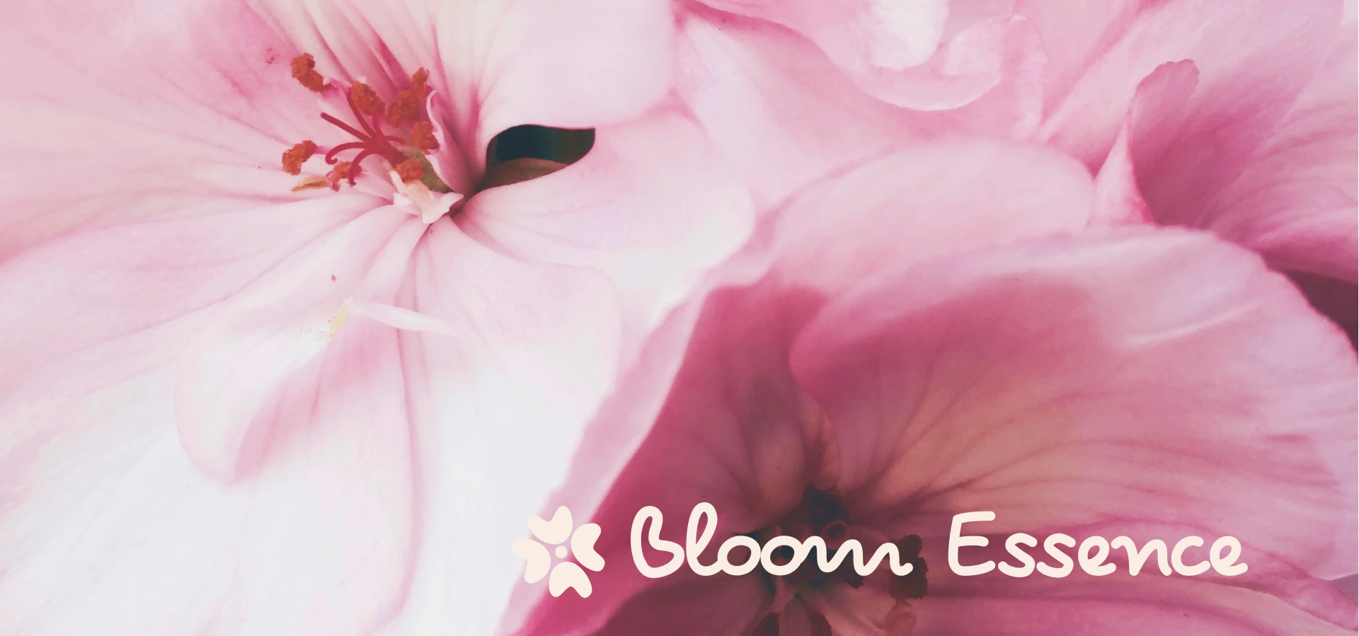 Bloom Essence | Шрифтовой логотип — Изображение №1 — Брендинг, Графика на Dprofile
