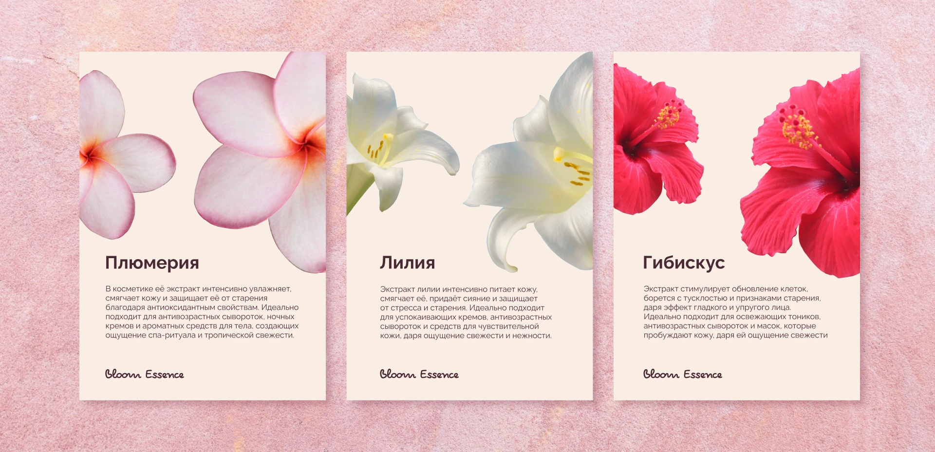 Bloom Essence | Шрифтовой логотип — Изображение №8 — Брендинг, Графика на Dprofile