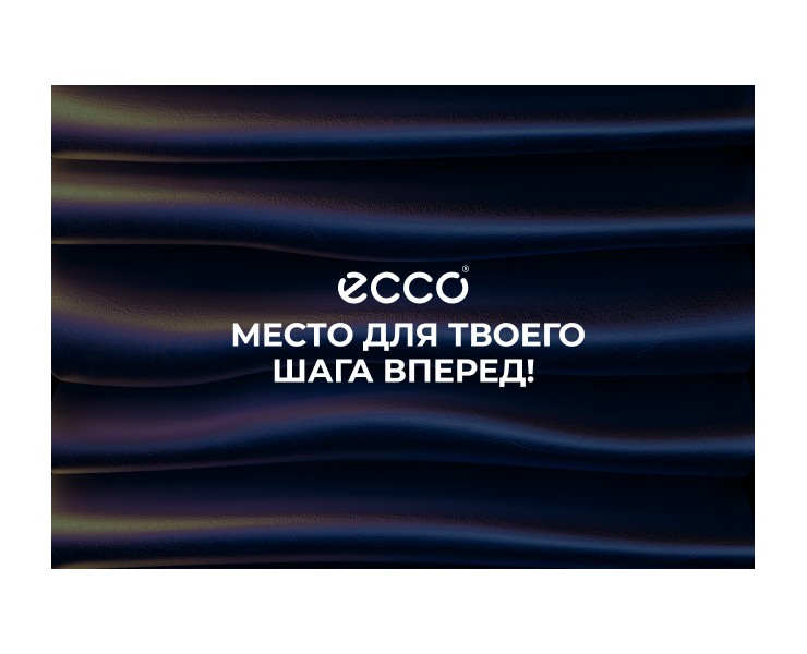 Карьерный сайт ECCO Россия — Интерфейсы на Dprofile