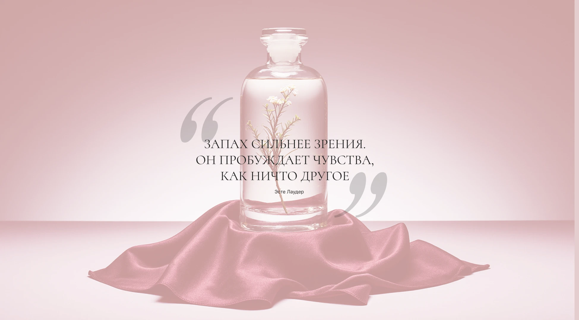 Фирменный стиль для арома-стилиста — Изображение №10 — Брендинг, Маркетинг на Dprofile